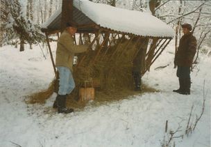 Krutá zima zvěři škodí-myslivci ochotně pomohou