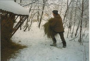 Dostatek sena, řepy a jádra je nutné doplňovat